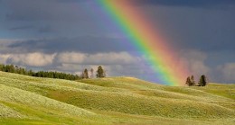 GÖKKUŞAĞININ FİZİKSEL VE DUYGUSAL ZENGİNLİĞİ