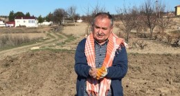 ”TARIM İLAÇLARI TOPRAĞI, EKOLOJİK SİSTEMİ VE İNSAN SAĞLIĞINI TEHDİT EDİYOR.” AHMET AKBAY YAZDI!