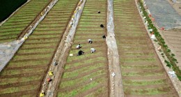 ABD’den gümrüksüz ithalat ne ifade ediyor?