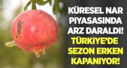 Türkiye’de Nar Sezonu Erken Kapanıyor !