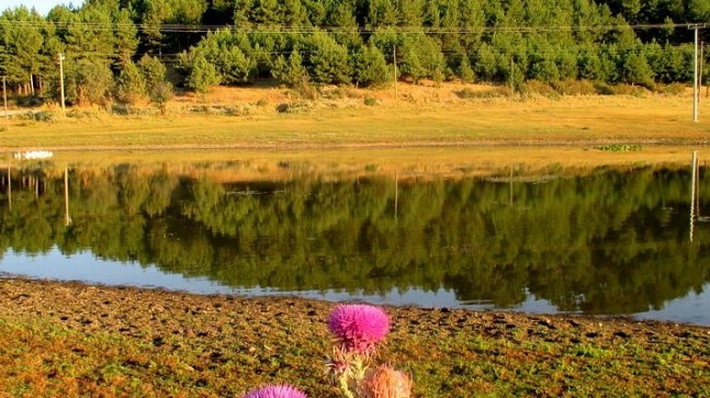 Kuş Cenneti Susuz Kuruyor!