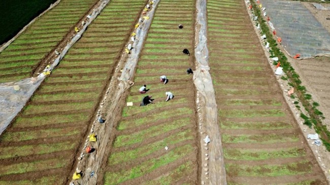 ABD’den gümrüksüz ithalat ne ifade ediyor?