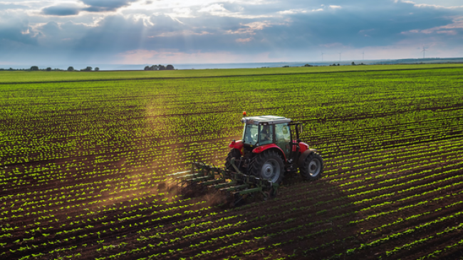 ABD ve Çin Karşısında Türk Tarımının Mücadelesi