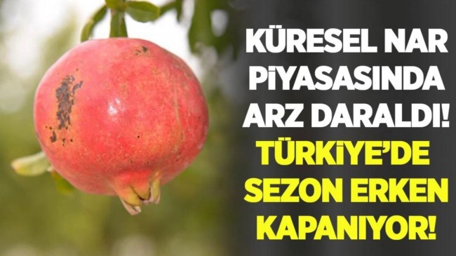 Türkiye’de Nar Sezonu Erken Kapanıyor !